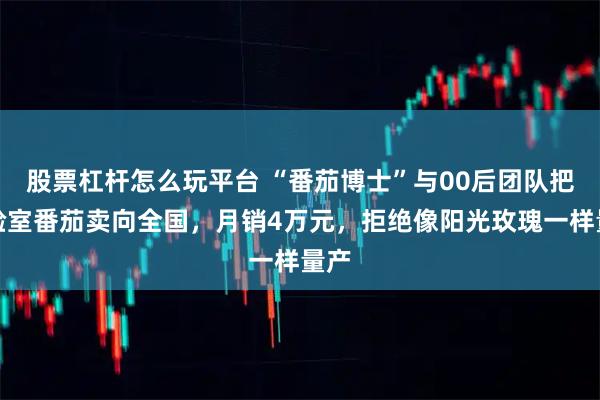 股票杠杆怎么玩平台 “番茄博士”与00后团队把实验室番茄卖向全国，月销4万元，拒绝像阳光玫瑰一样量产